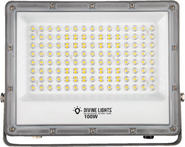 Divine Lights Dazzling LED Floodlight
