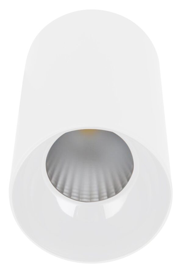 Divine Lights LED Aura Cylinder Surface COB Light