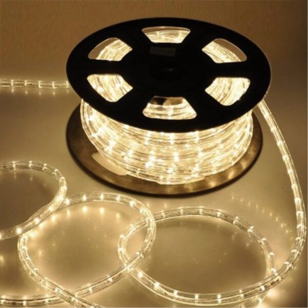Divine Lights LED Rope Light