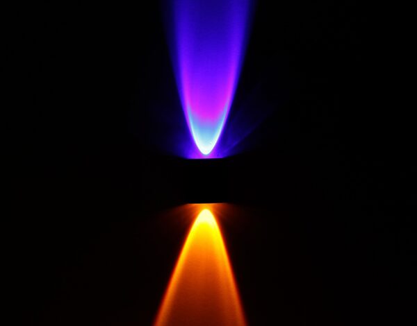 Divine Lights Exotic Wall Light - Image 17