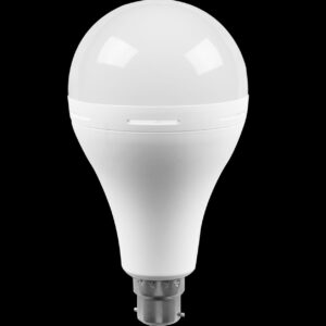 Divine Light LED Invertilite Emergency Bulb